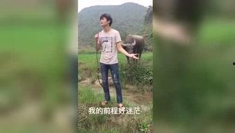 国产福利视频抄底视频,揭秘抄底策略，财富增长新篇章